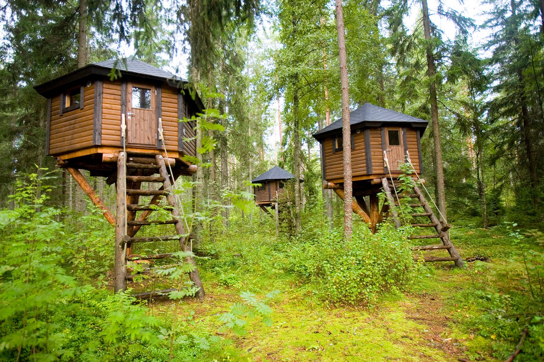 Three hexagonal huts stand tall in the forest at Storfinnhova.