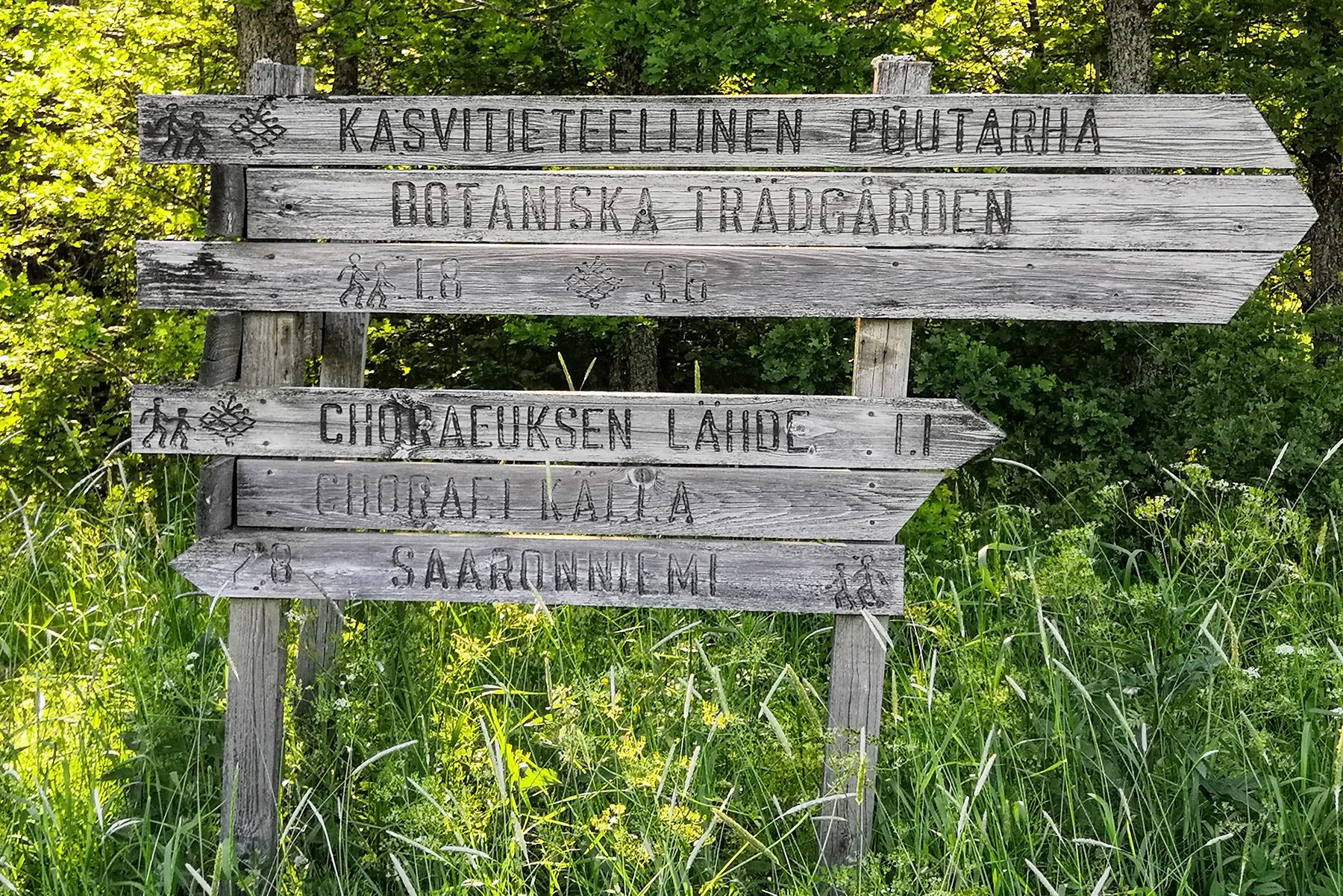 A wooden signpost points the way on the island of Ruissalo.