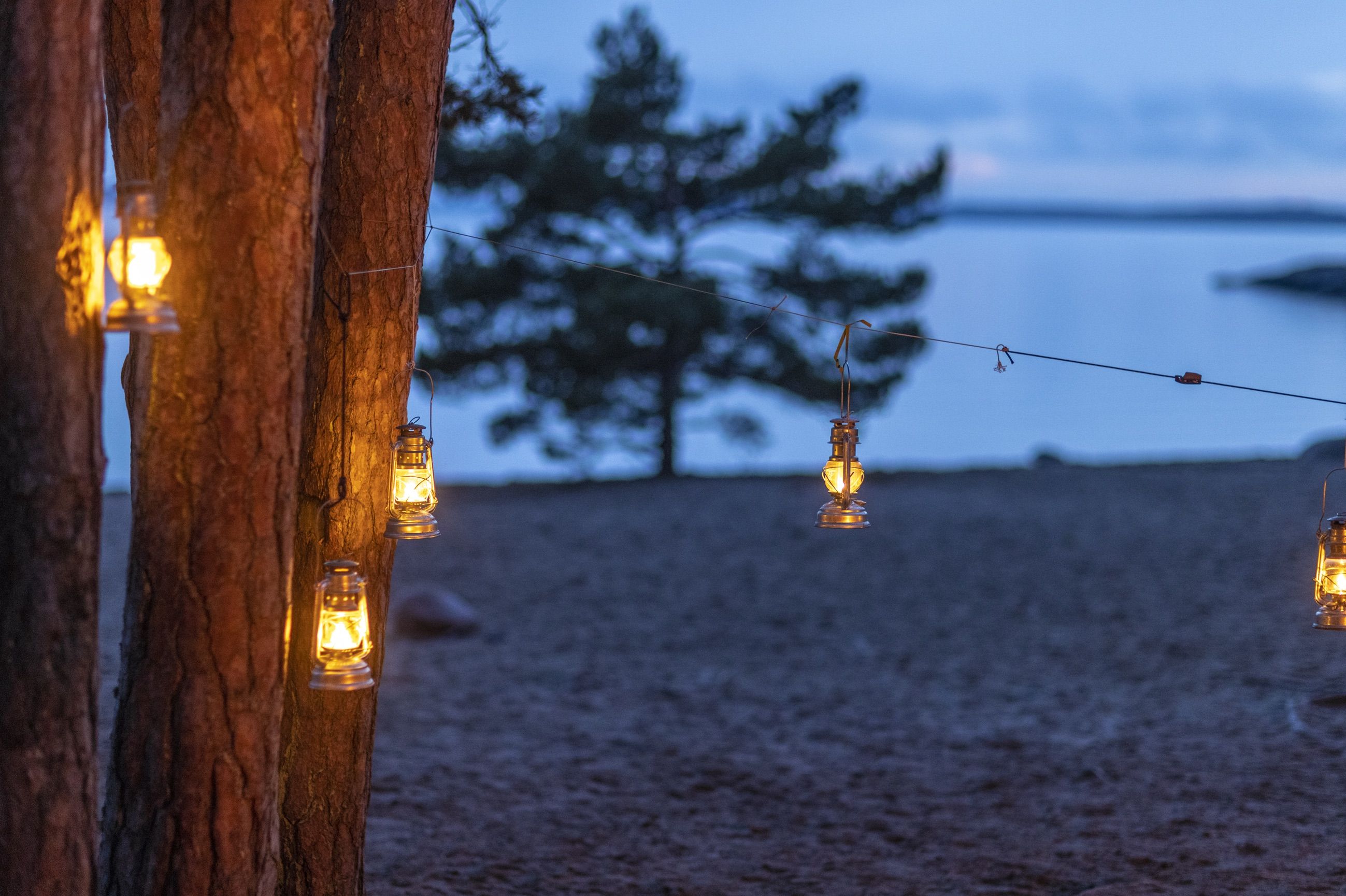 Ljuslyktor hänger i ett träd på Björnö. Foto: Henrik Trygg.